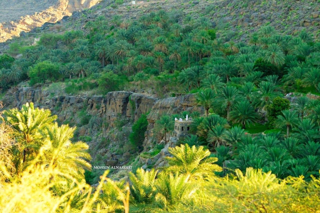 The Wadi Inn Эль-Хамра Экстерьер фото